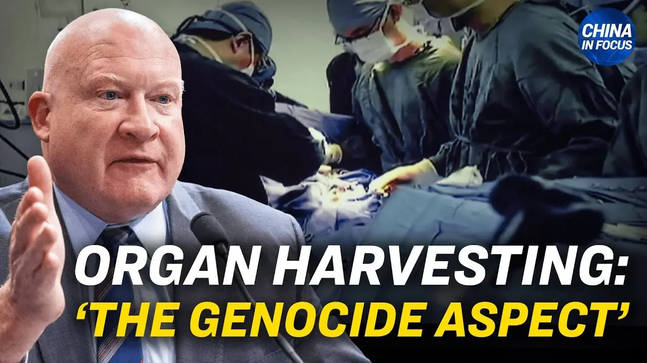'Organ Harvesting Is the Genocide Aspect': Expert | China In Focus