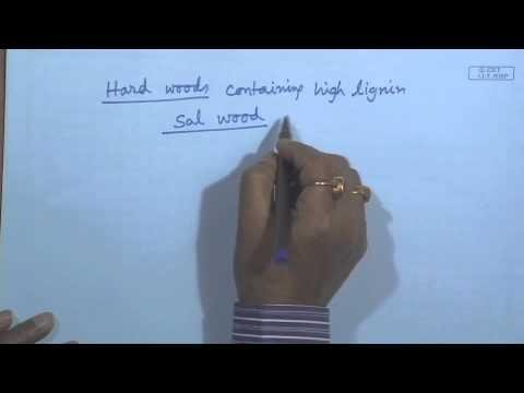 Mod-01 Lec-31 Environmental Degradation of Polymers (Contd.)