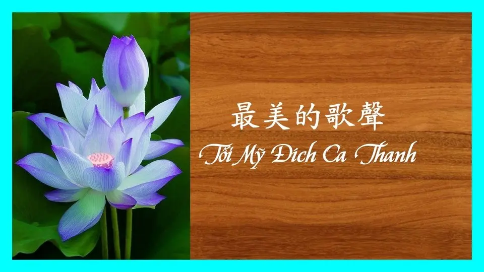 Tiếng ca đẹp nhất -最美的歌聲  Học Chữ Phồn Thể - Chữ Hán Việt qua bài hát :