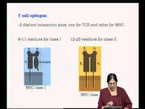 Mod-21 Lec-38 Antigens and Immunogens