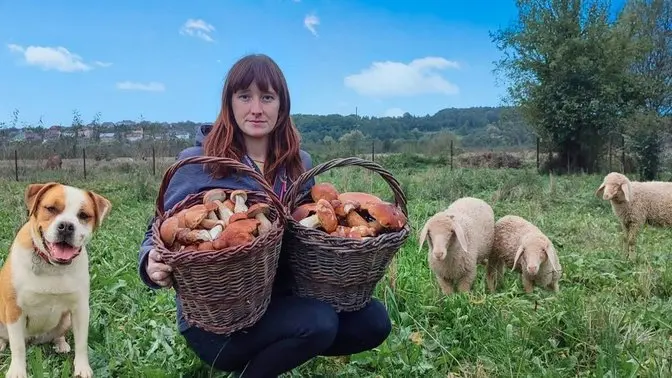 Harvesting mushrooms for the winter || Life on a farm || Olivie salad recipe || New lamb in farm