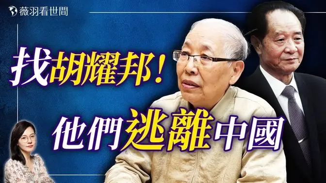 胡耀邦出手相助！王炳章妹妹談王家逃離中國的曲折故事。【專訪王玉華】｜薇羽看世間 20250101