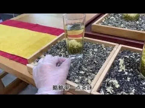 【茶小純】同樣是茉莉花茶，質量差別竟如此之大？茶老闆手把手教你如何避坑