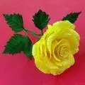 DIY - Paper Crafts