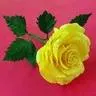 DIY - Paper Crafts