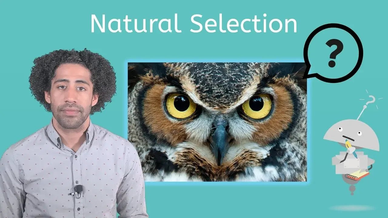 Natural Selection - Life Science for Kids!