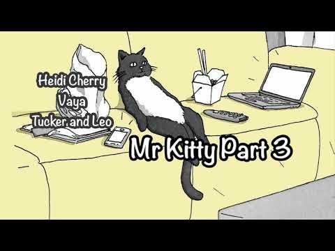 Fun Bedtime Story For Kids | Heidi Cherry Vaya Tucker & Leo - Mr Kitty (Part 3)
