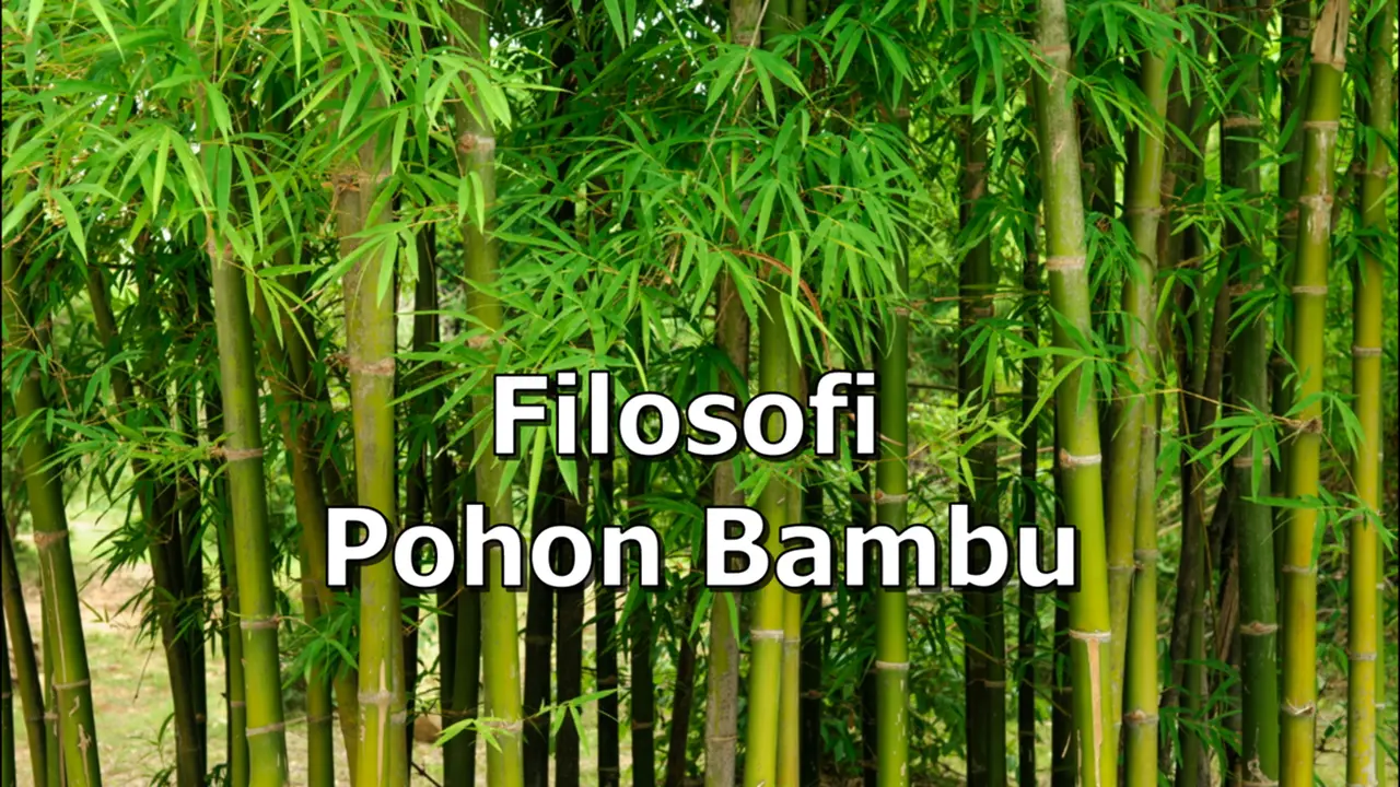 Filosofi Pohon Bambu
