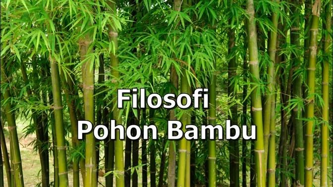 Filosofi Pohon Bambu