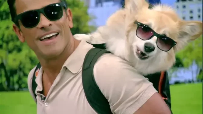 Mark Makes a Viral Video With Maxine the Fluffy Corgi.