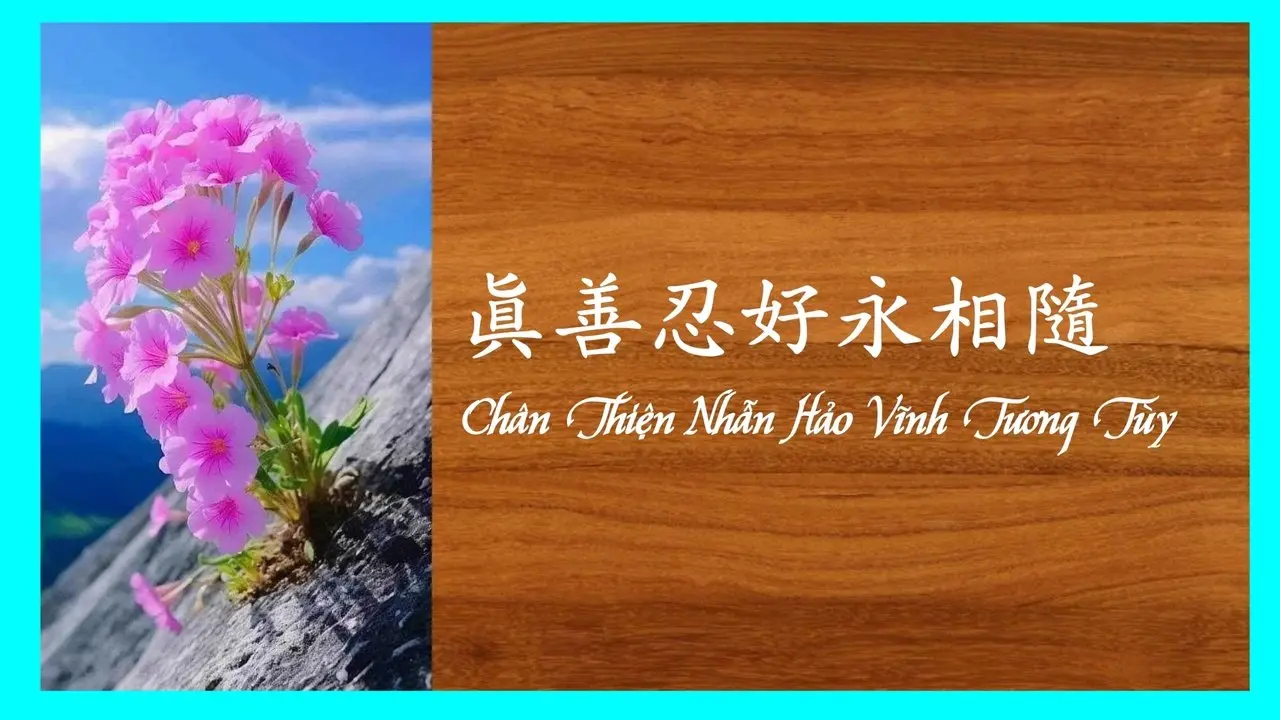 Chân-Thiện-Nhẫn hảo mãi mãi mang theo -Học Tiếng Trung - Chữ Hán Việt- Chữ Phồn Thể qua bài hát