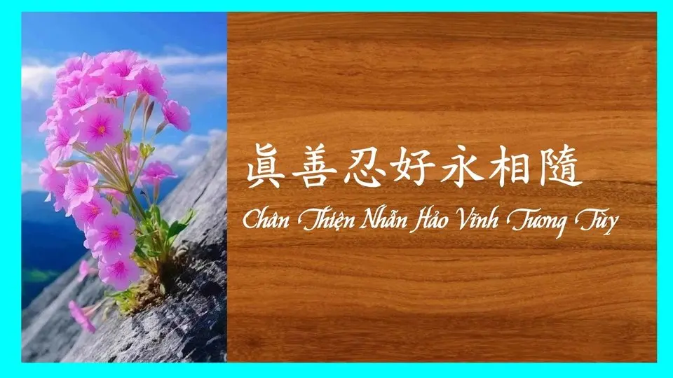 Chân-Thiện-Nhẫn hảo mãi mãi mang theo -Học Tiếng Trung - Chữ Hán Việt- Chữ Phồn Thể qua bài hát