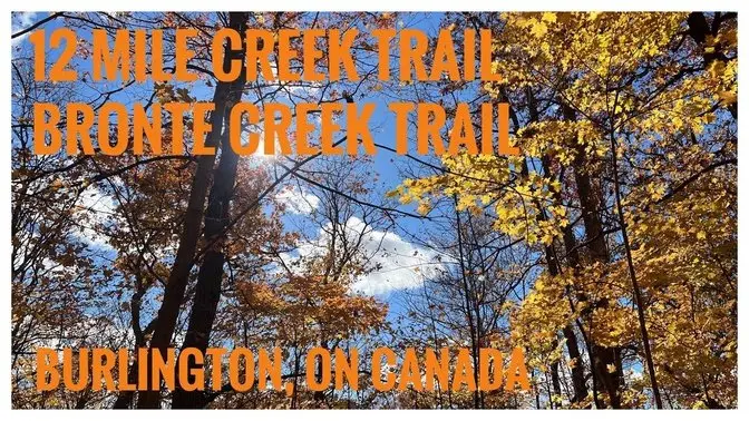 Chasing Fall Foliage |Bronte Creek Trail & 12 Mile Creek | Hiking | Relive | Burlington, ON🇨🇦