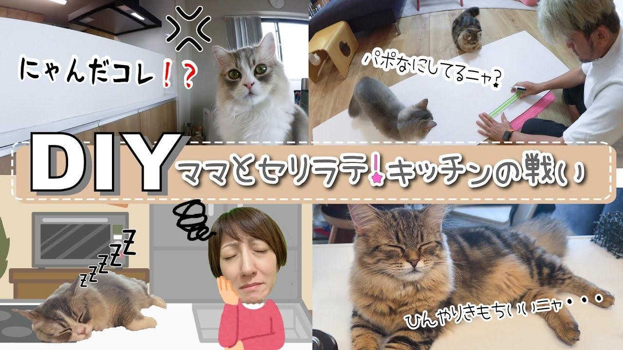 ★DIY★ママ VS キッチン猫セリラテ！キッチンねこ対策にオススメ！