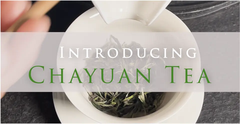 Cha Yuan Tea Introduction 茶緣茶介紹