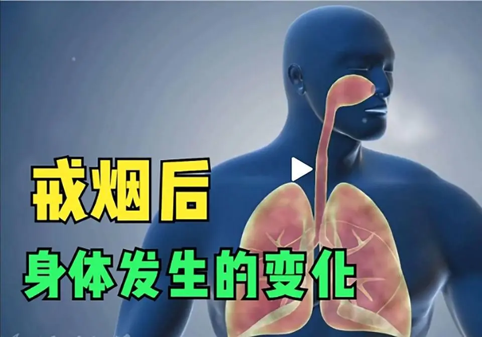 戒烟后，你的身体将会发生什么不为人知的变化？  #戒菸  #自我修復