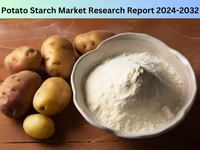 Potato Starch Market Size, Share, Dynamics,Trends, Analyzing, 2032