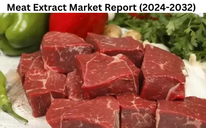 Meat Extract Market Future Trends: Growth and Strategic Analysis 2032