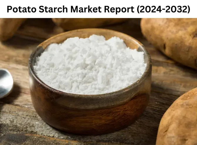 Potato Starch Market Future Trends: Growth and Strategic Analysis 2032