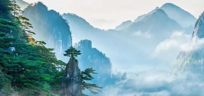 Bậc trí giả cao thượng, không tranh hơn thua