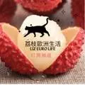 荔枝歐洲生活 Liz Euro Life