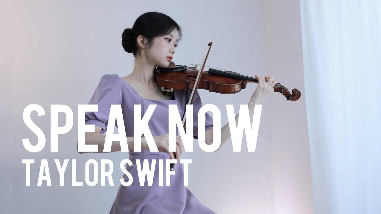 Taylor Swift - Speak Now - Violin Cover