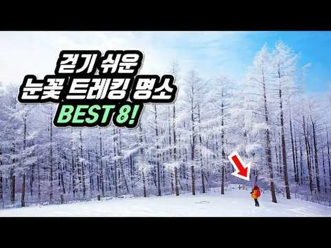 ❄️ 와! 북유럽 보다 아름다운 국내 눈꽃 트레킹 명소 BEST 8 |🚶걷기 쉽고 대중교통 OK! |🇰🇷 8 Beautiful Snow Trekking Course in KOREA