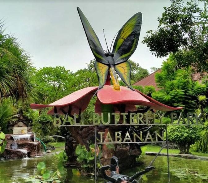 Butterfly Park/Taman Kupu-Kupu @Wanasari - Penebel, Tabanan - Bali.