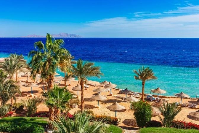 Escape to Paradise: Best Resorts in Sharm El Sheikh