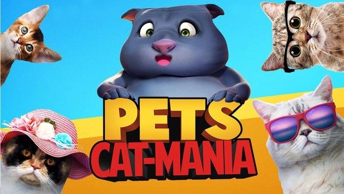 Pets: Cat-Mania