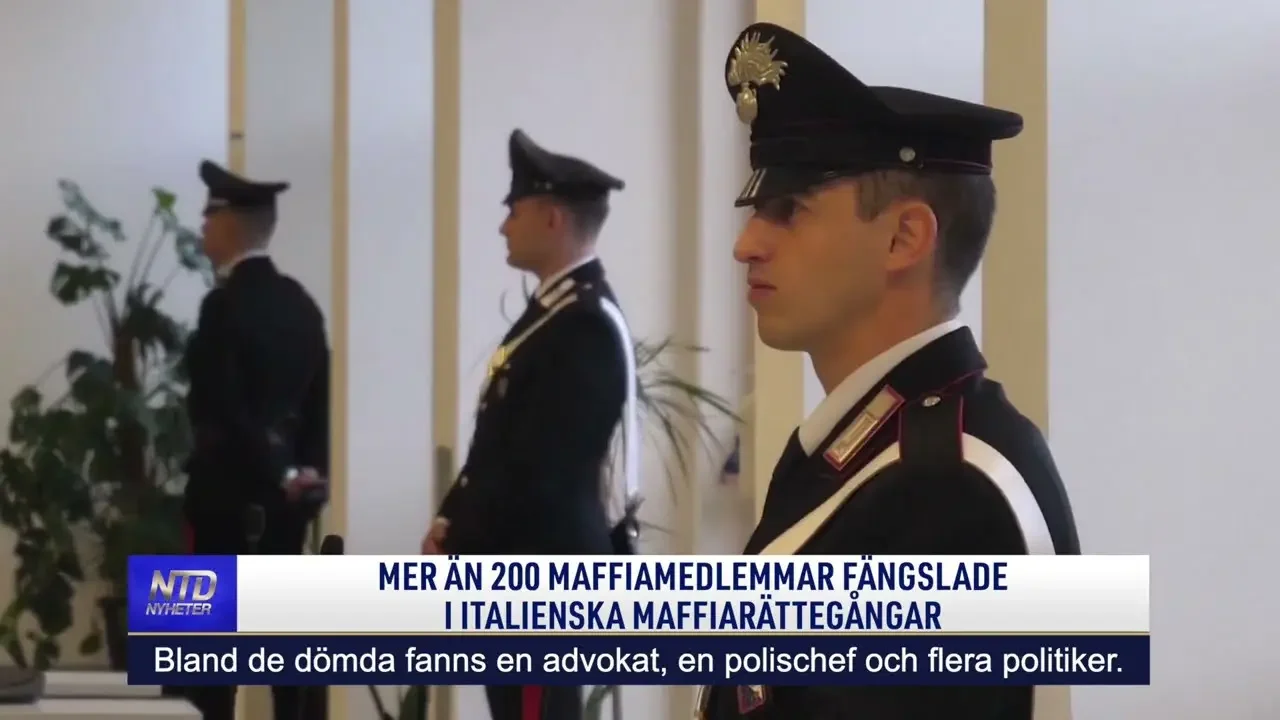 Mer än 200  maffiamedlemmar fängslade i italienska maffiarättegångar | NTD NYHETER
