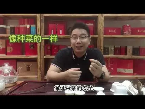 【漫仔說茶】茶農家遍地是茶葉，為何自己卻不喝？有什麼蹊蹺嗎？漫仔說出實情