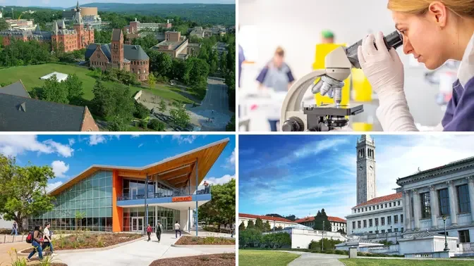 Top 5 Best Universities for Zoology in the US in 2023