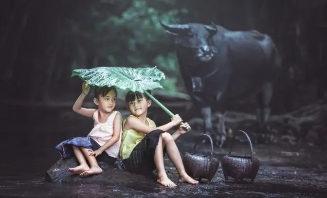 Tâm thái bình thản là ngọn nguồn của cuộc sống hạnh phúc