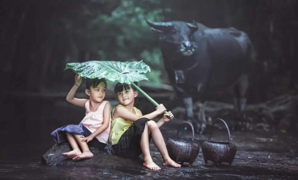 Tâm thái bình thản là ngọn nguồn của cuộc sống hạnh phúc