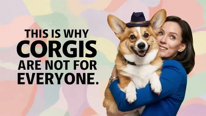 This is why corgis are not for everyone ai voices