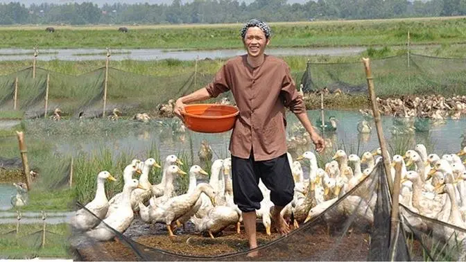 Hài Hoài Linh, Việt Hương, Nhật CườngH- Du HọcH- Hài Kịch Cười Sặc Cơm Mới Nhất 2018