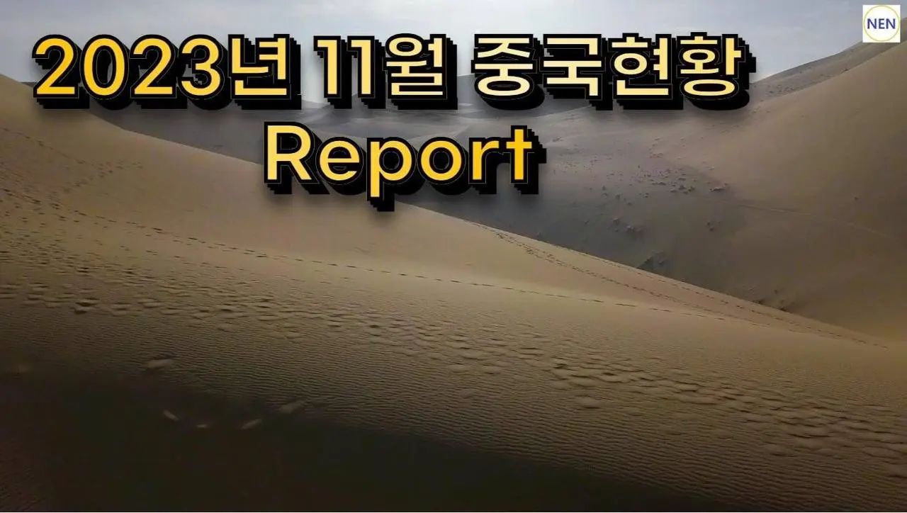 2023년 11월 중국현황 Report