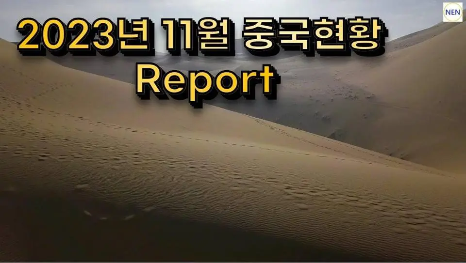 2023년 11월 중국현황 Report