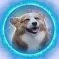 Happy Dog