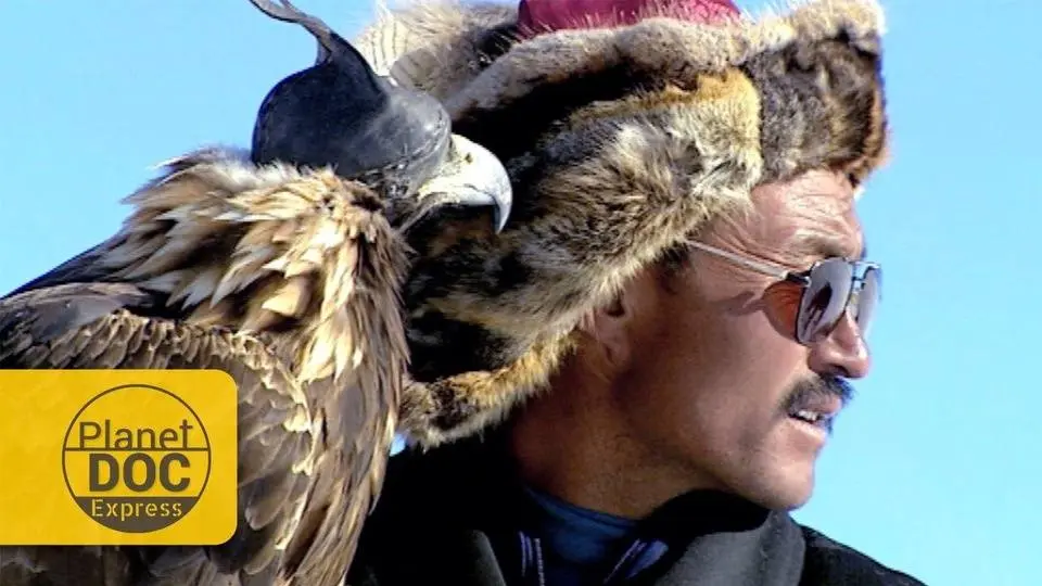 Golden Eagle Hunting. Mongolia - Planet Doc Express
