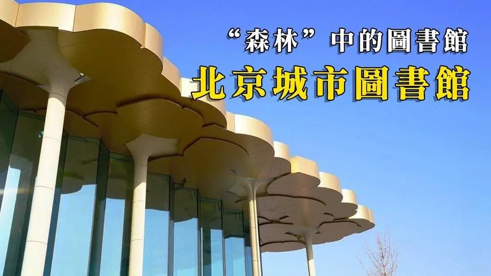 “森林”中的圖書館，北京城市圖書館  建築vlog 004