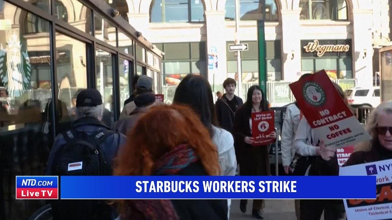 Starbucks Workers Strike on Company's 'Red Cup Day'