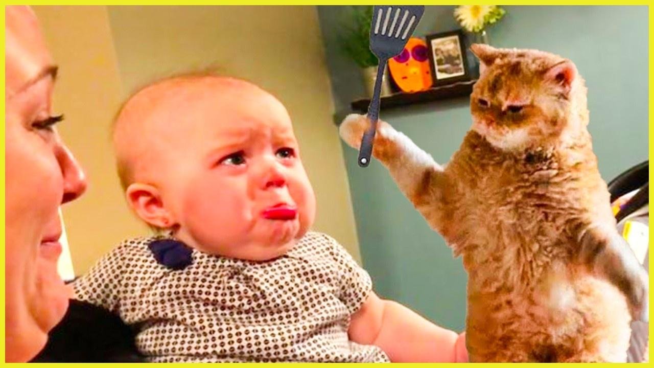 MOST Funniest Babies Will Make You LAUGH || Peachy Vines