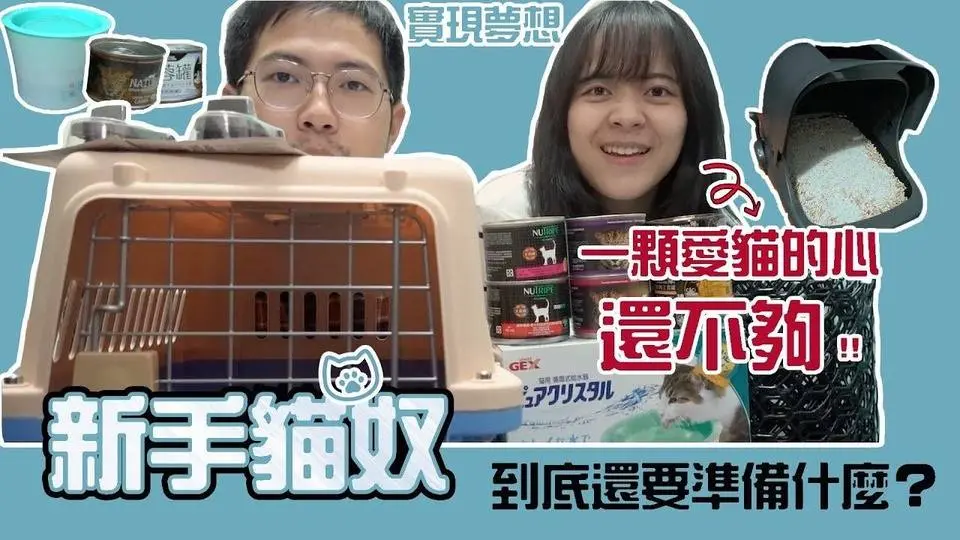【貓奴生活 Ep.1】新手貓奴上路！該準備些什麼？ | 生活不就是這樣 This is Life