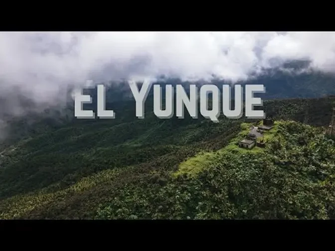 Visiting el Yunque National Forest in Puerto Rico