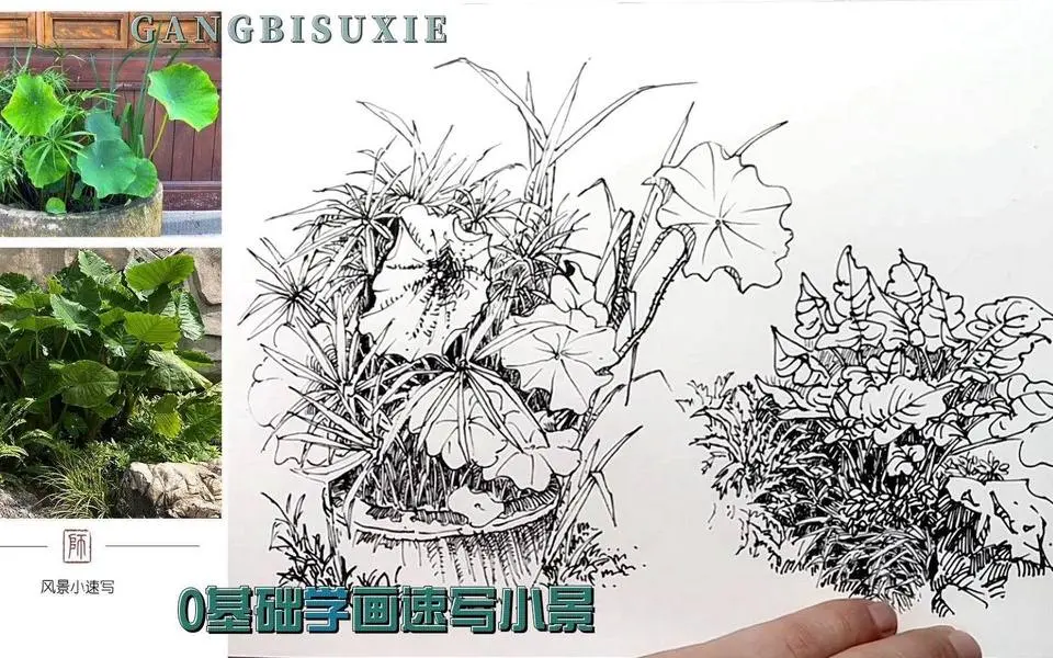 植物组合写生怎么处理画面？重新组织画面和线条很重要。
