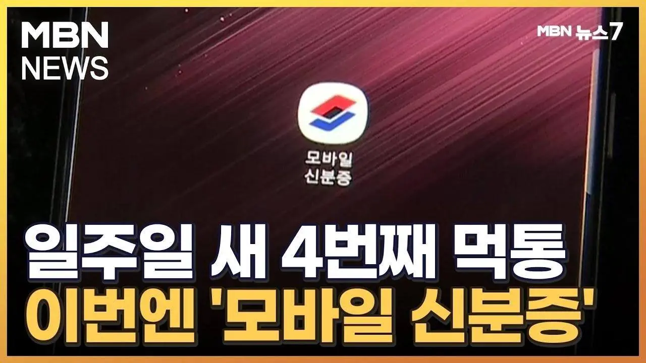 정부 모바일 신분증 사이트·앱 동시 장애…벌써 4번째 먹통 [MBN 뉴스7]