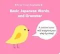 Learn Basic Japanese