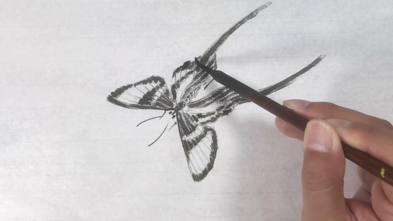 谷僧中國畫寫意蝴蝶，水墨彩蝶畫法。